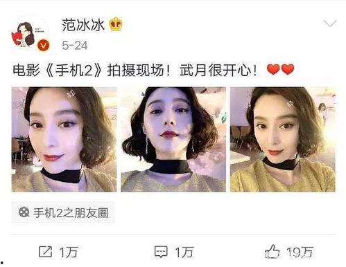 吃瓜娱乐圈系列小说推荐,娱乐圈幕后风云录
